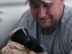 skunk-Envirotech-wildlife-removal-pest-control