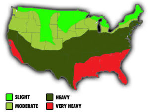 USA map showing termite infestation levels